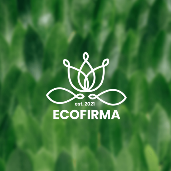 Logo firmowe z kwiatem eko dla spa
